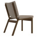 Side Chair Side Chair
