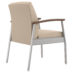 Chair, Metal Frame Canton Chair, Metal Frame