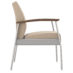 Chair, Metal Frame Canton Chair, Metal Frame